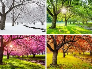 What season begins with a thud?