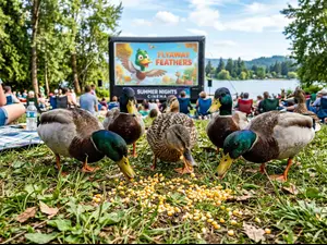 What snack do ducks love at the movies?