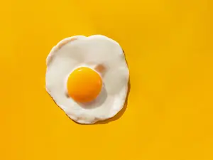 What sport are eggs the best at?