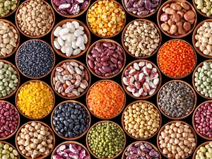 What type of bean doesn't have protein?