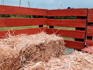 What Type Of Vehicle Should You Use For A Fall Hayride?