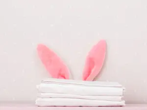 What was the bunny's job at the hotel?