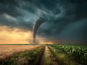 What's a tornado's favorite game?