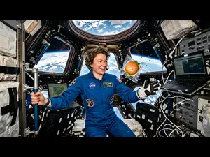 What's inside an astronaut's sandwich?