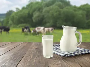 What's the best way to keep milk from turning sour?