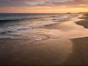What's the ocean always humming?