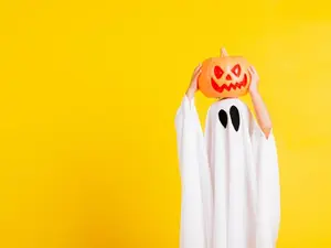 Where do baby ghosts go during the day?