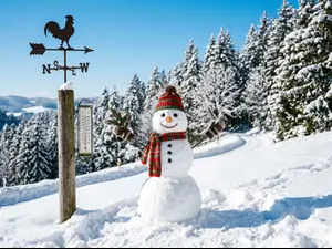 Where do snowmen check the forecast?