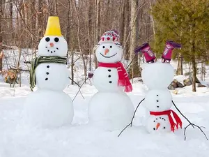Where do snowmen go to dance?