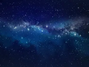 Where do stars go to college?