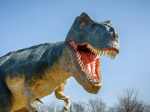 Where do T-Rexes shop?