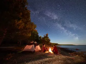 Where do termites go camping?