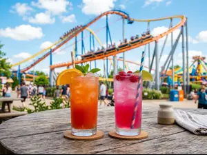 Where do you set your drinks at a theme park?