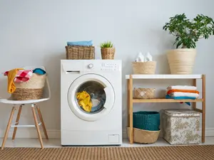Where does laundry go to college?