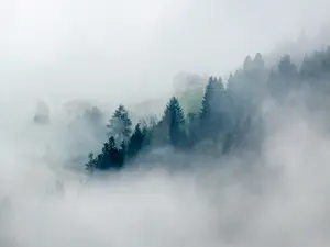 Where does mist apply for a loan?
