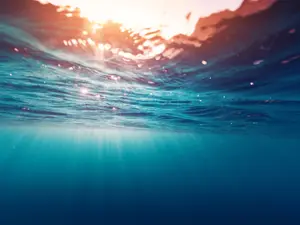 Where does the Little Mermaid™️ dream to go on vacation?