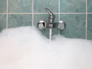 Which animal can never take a long bubble bath?