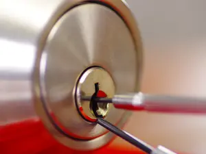 Which animals make the best locksmiths?