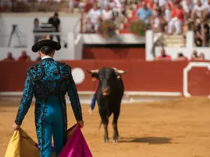 Which dog dreams of being a matador?