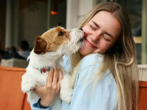 Which dogs are the best at getting girls?