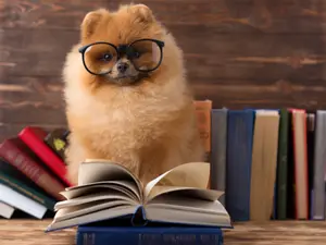 Which dogs love to study science?