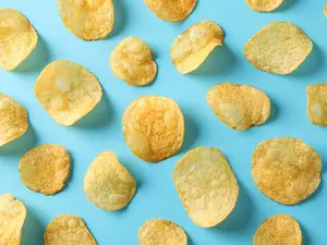 Which forest animal loves to eat Lay's®?
