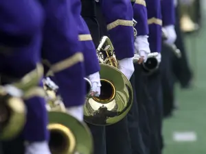 Which insect always signs up for marching band?