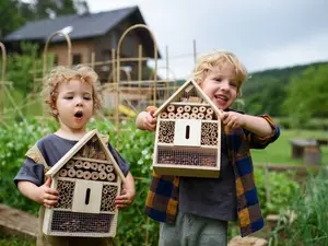 Which insect is the smartest?