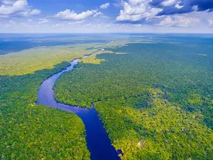 Which jungle also provides free two-day shipping?