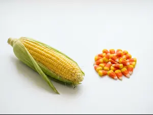 Which vegetable is secretly candy?