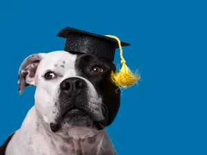 Which yearbook superlative did the dog win?