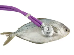 Who do fish see when they aren't feeling well? 