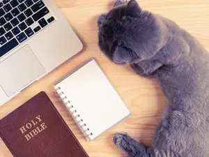 Who is the holiest cat in all of England?