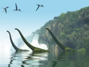 Who makes clothes for dinosaurs?