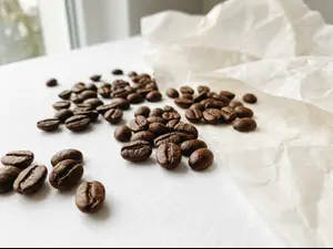 Why are coffee beans so sensitive?