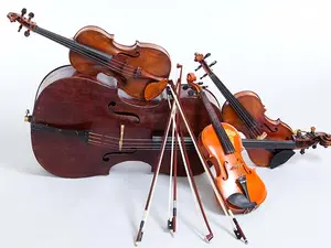 Why are stringed instruments always in peak physical condition?