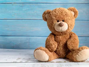 Why are teddy bears never hungry?