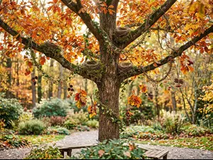 Why are trees great decorators?