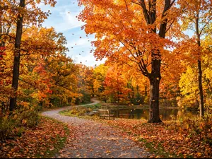 Why are trees so relaxed in autumn?