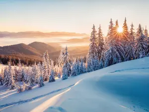 Why are winter days great?
