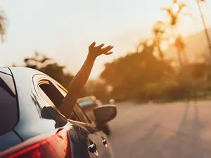 Why did the car excuse himself from the dinner party?
