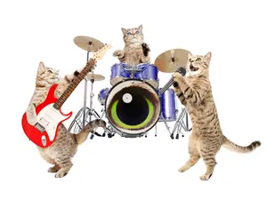 Why did the cats ask for a drum set?