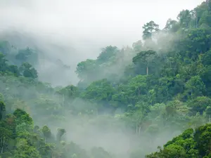 Why did the cloud date the fog?