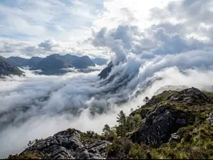 Why did the cloud like the fog?