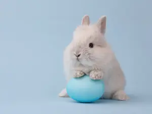 Why did the Easter Bunny panic when the kids decorated his eggs?