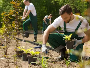 Why did the gardener bury all his money?