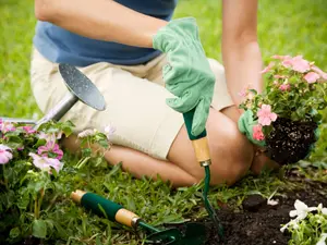 Why did the gardener have a hard time asking for a raise?
