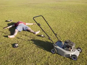 Why did the lawn mower get kicked off the team?