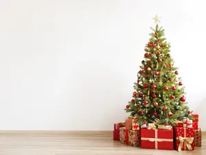 Why did the little boy cut off all the branches on the Christmas tree?
