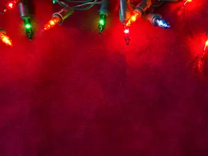 Why did the little girl plant the Christmas lights?